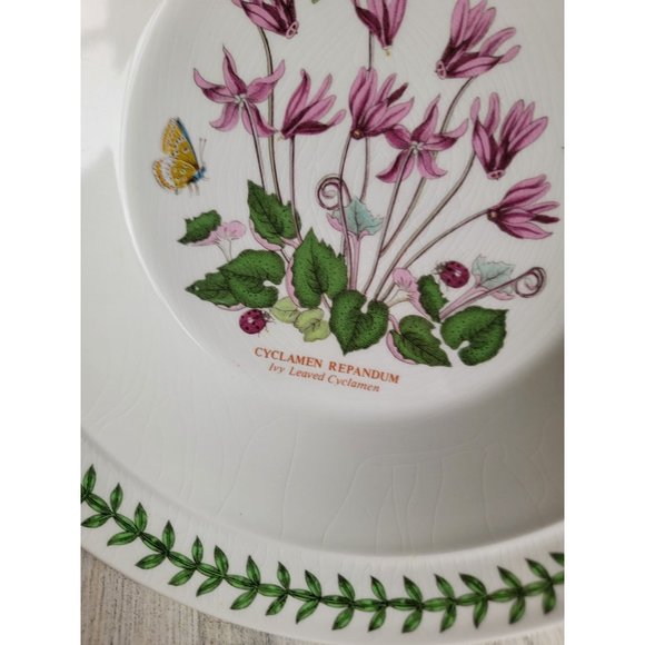 Portmeirion Botanic Gardens AS IS Ivy Leaved Cyclamen 8" soup salad bowl‎ - Picture 5 of 10